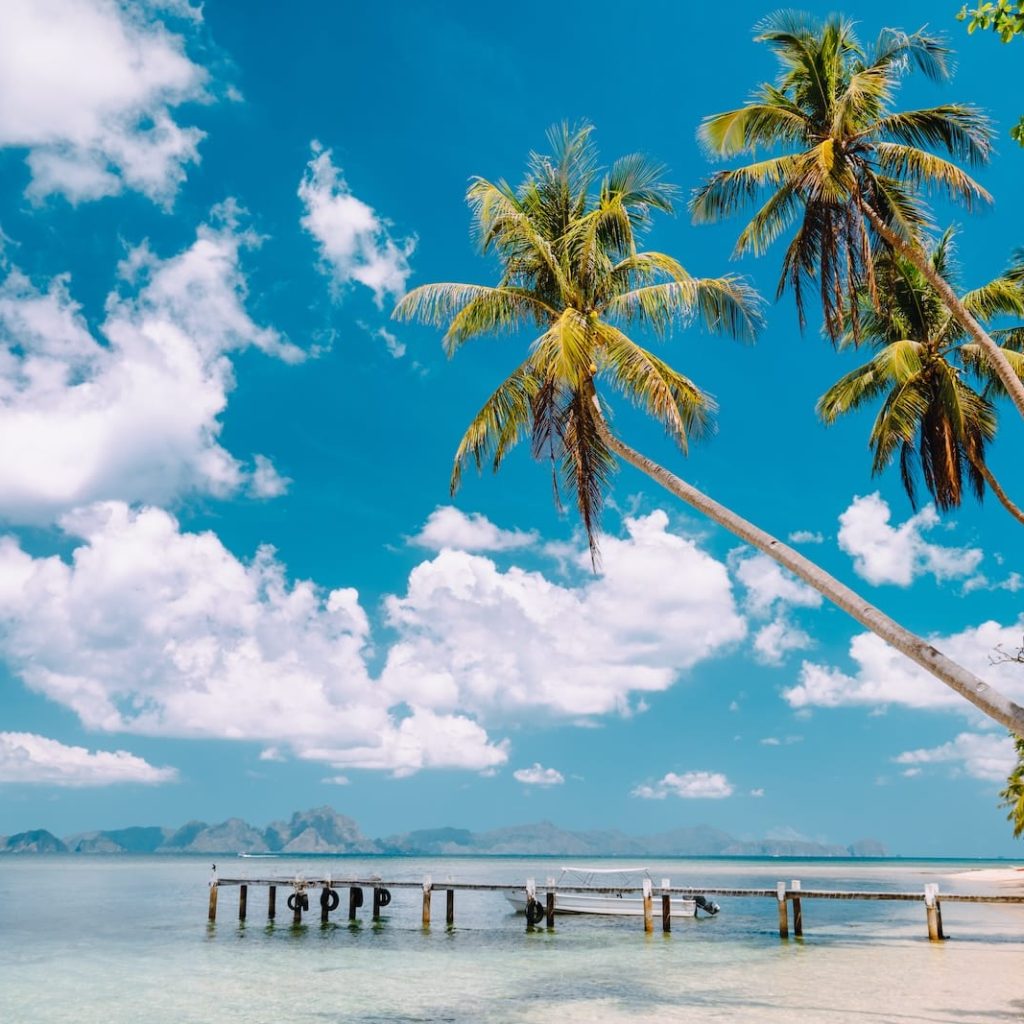 exotic-tropical-beach-with-palm-trees-jetty-pier-2023-11-27-05-26-34-utc